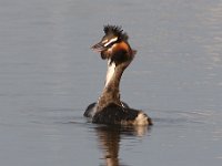 Die hofmakery8 : frieda